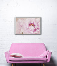 Load image into Gallery viewer, Etienne de France
