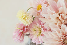 Load image into Gallery viewer, Pastel pink blush and lemon dahlias 
