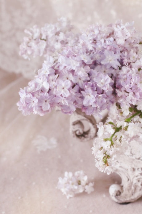 Lilac flowers arranged in a vintage style jardiniére vase