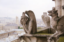 Load image into Gallery viewer, cathedral of  Notre Dame de Paris Chimera Gargoyle rooftops photography wall art
