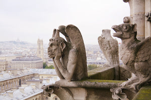 cathedral of  Notre Dame de Paris Chimera Gargoyle rooftops photography wall art