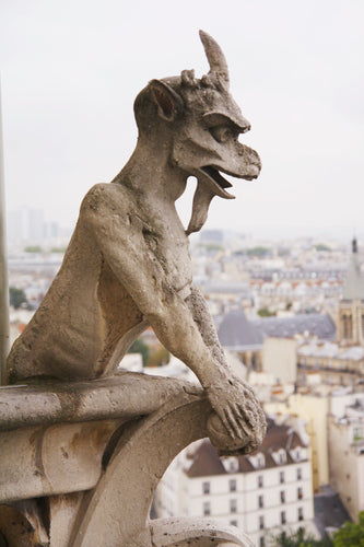 cathedral of Notre Dame de Paris Chimera Gargoyle rooftops photography wall art
