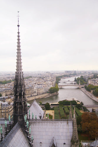 view from the top of Cathedral Notre Dame de Paris. river Seine, wall art photography