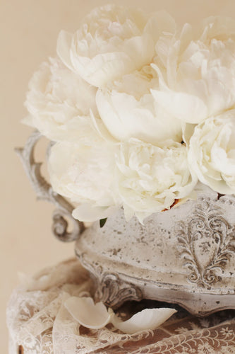 White cream peony peonies in an antique style jardiniére vase