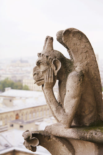 Chimera gargoyle of notre dame cathedral Paris France wall decor art photography 